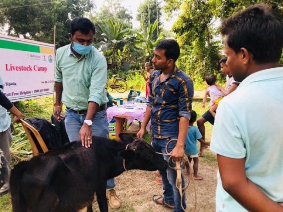 Livestock farmers received free treatment and medicines from Reliance Foundation